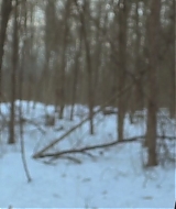 113.jpg