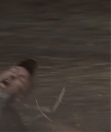 506.jpg