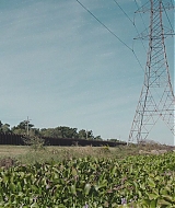 0090.jpg