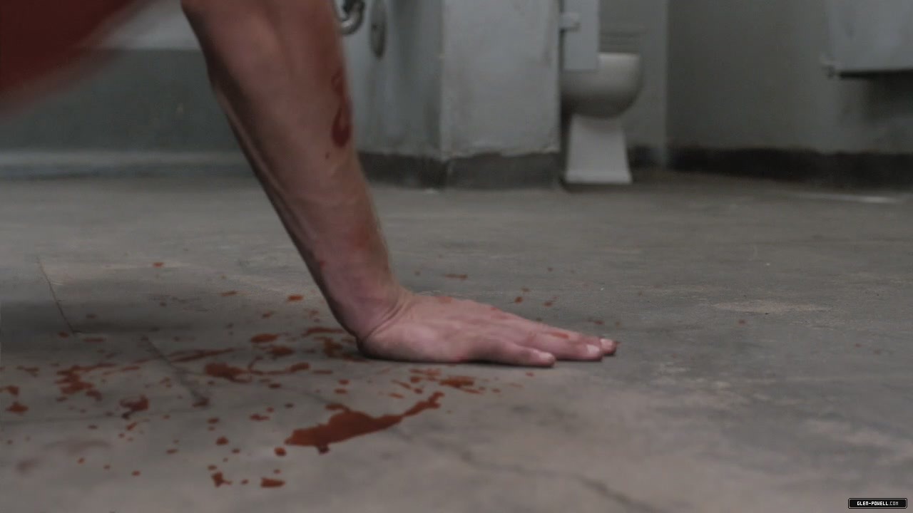 43.jpg