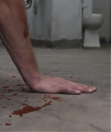 43.jpg