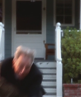 265.jpg